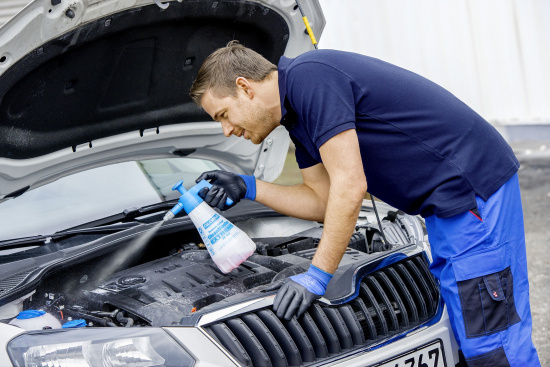 KONCENTRATSPRUTA EX100